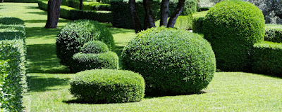 LM Jardin Elagueur Aimargues 30 Gard à Aimargues