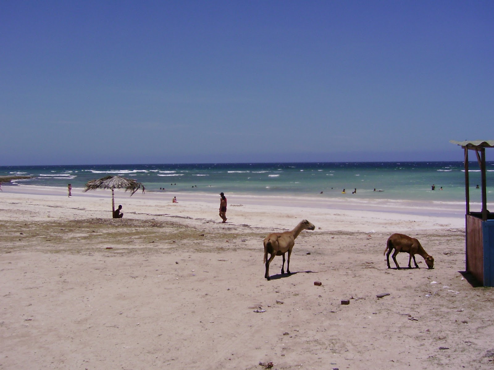 Fotografie cu Playa Gibara cu nivelul de curățenie înalt