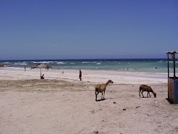 Playa Gibara'in fotoğrafı imkanlar alanı