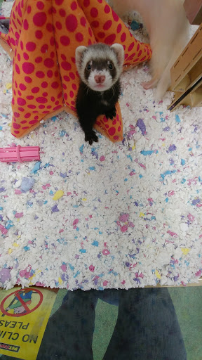 Pet Supply Store «Pet Supermarket, Inc.», reviews and photos, 4315 26th St W, Bradenton, FL 34205, USA