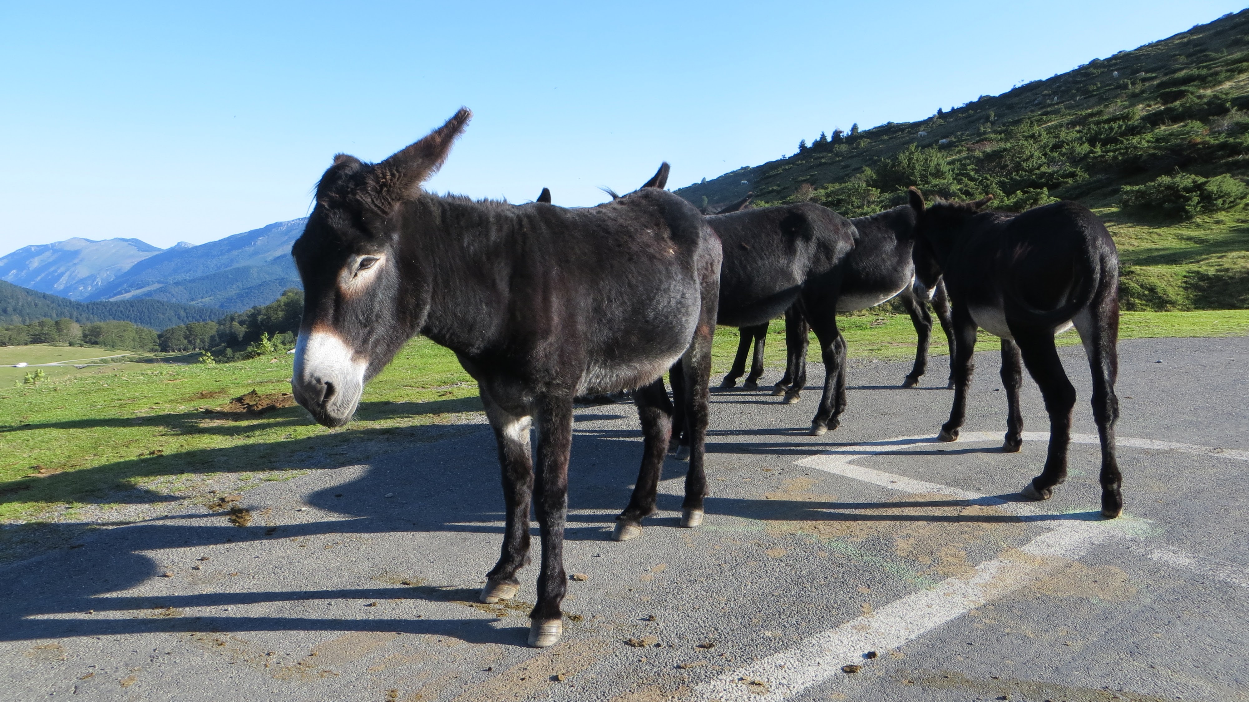 Photo n° 1 de l'avis de Jan.� fait le 16/12/2017 à 21:57