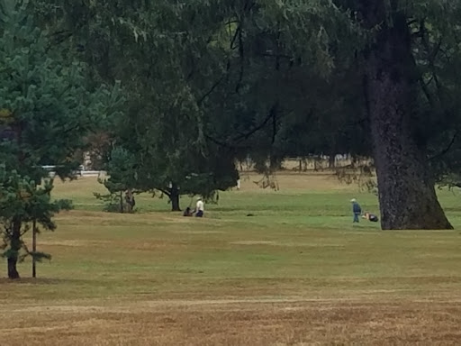 Golf Course «Willapa Harbor Golf Course & RV Park», reviews and photos, 2424 Fowler Rd, Raymond, WA 98577, USA