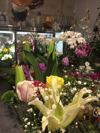 Florist «Epicure Florist», reviews and photos, 1656 Alton Rd b, Miami Beach, FL 33139, USA