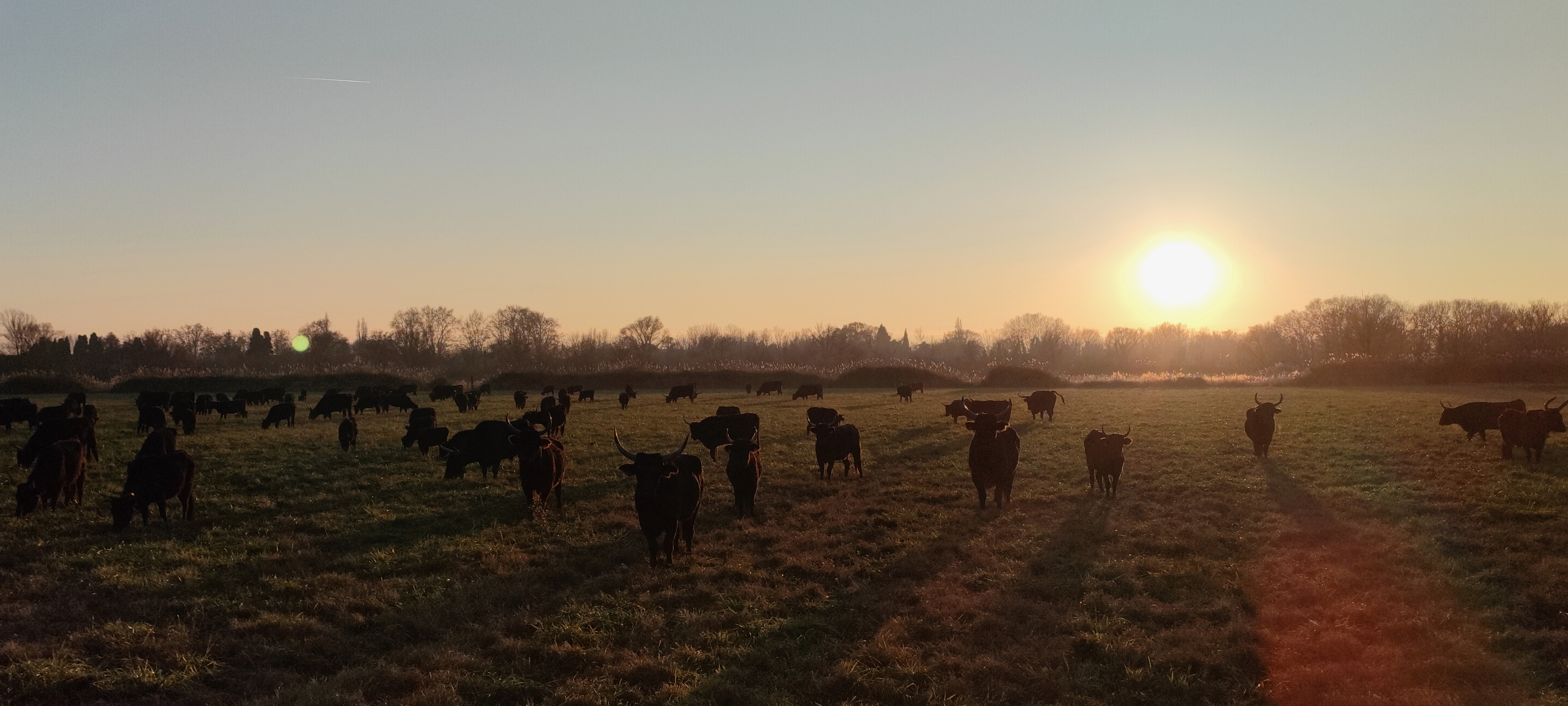 Photo n° 1 de l'avis de Sébastien.i fait le 19/12/2021 à 18:29
