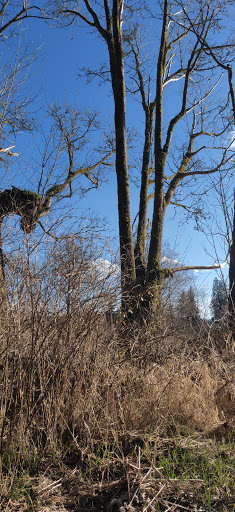 Golf Club «Echo Falls Golf Club», reviews and photos, 20414 121st Ave SE, Snohomish, WA 98296, USA