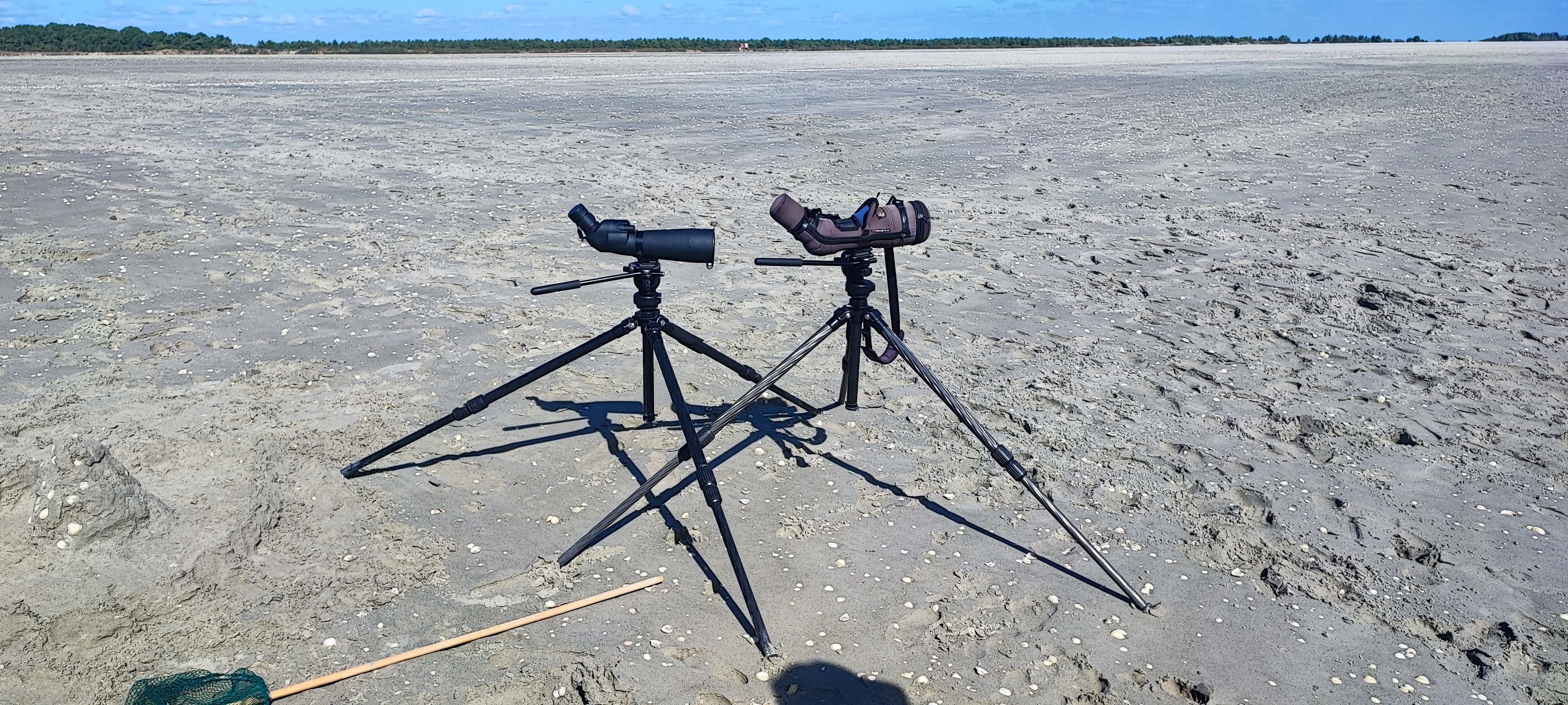 Photo n° 6 de l'avis de Raz.o fait le 29/07/2021 à 18:46