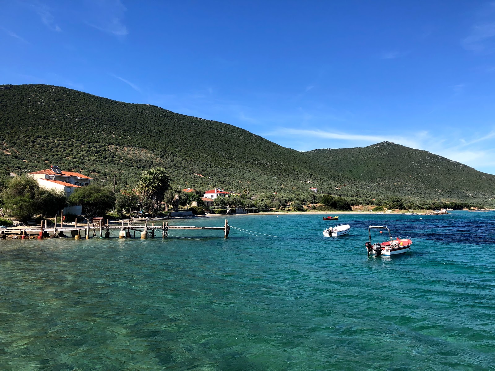 Ag. Dimitrios beach的照片 带有碧绿色纯水表面