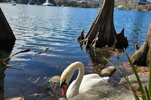 Lake Eola Park Peninsula image