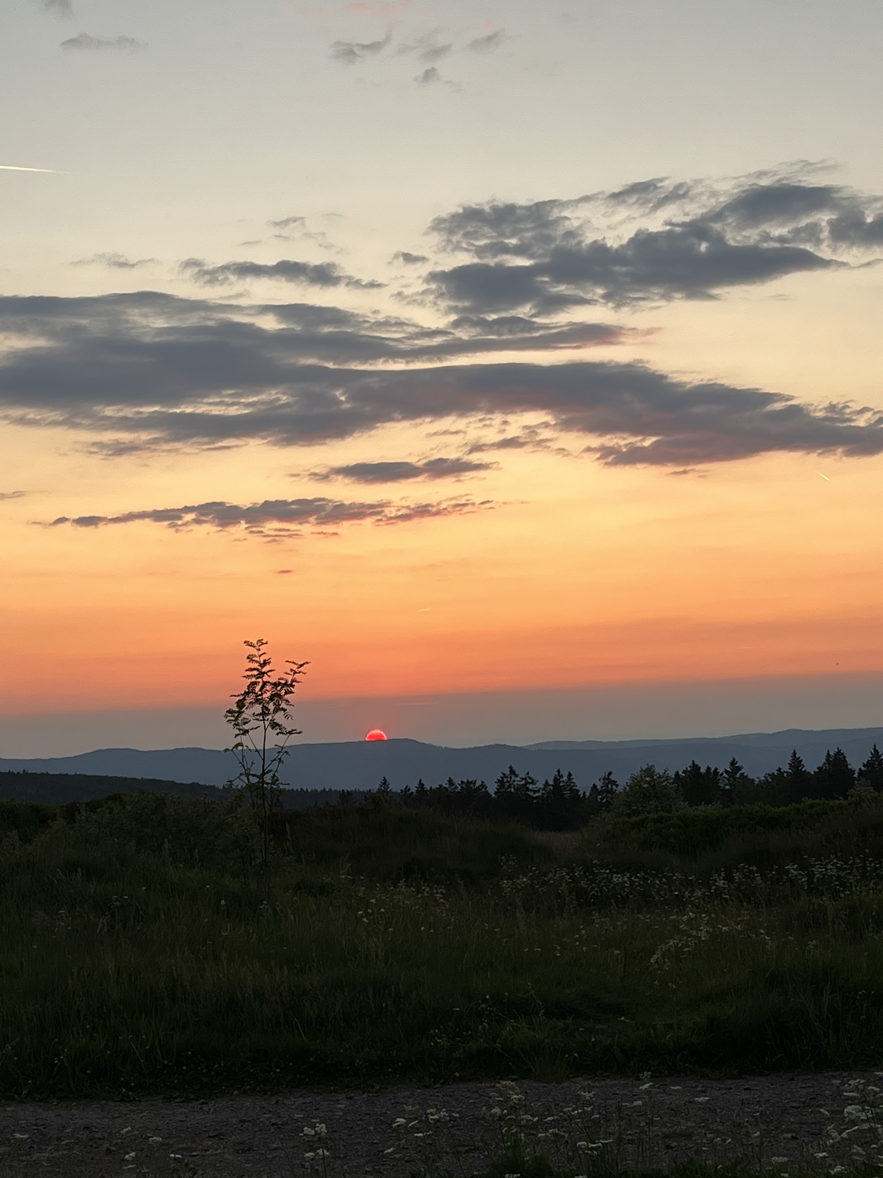 Photo n° 11 de l'avis de chanelaleroux. fait le 30/10/2018 à 10:54