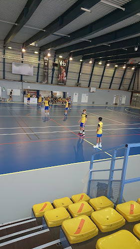 Venissieux Handball à Vénissieux