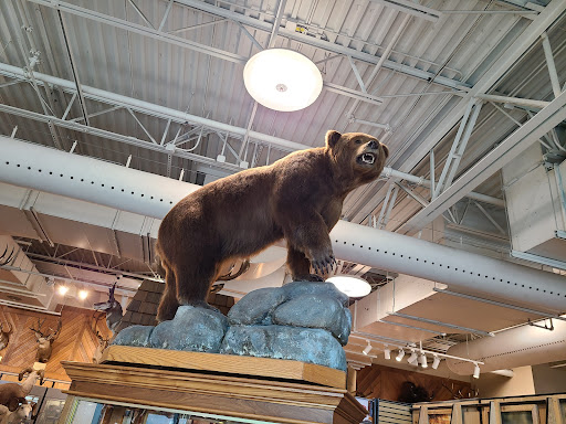 Shopping Mall «The Outlets at Sparks», reviews and photos, 1310 Scheels Drive, Sparks, NV 89434, USA