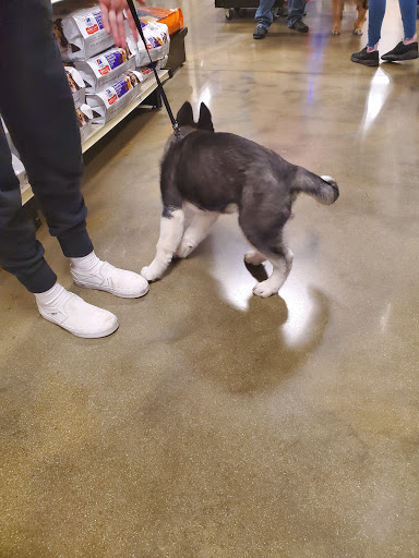 Pet Supply Store «PetSmart», reviews and photos, 104 Dettro Dr, Mattoon, IL 61938, USA