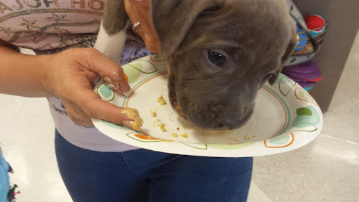 Pet Supply Store «Petco Animal Supplies», reviews and photos, 324 S College Rd, Wilmington, NC 28403, USA