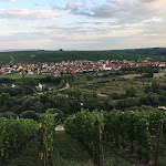 Photo n°3 de l'avis de Samuel. fait le 30/01/2019 à 22:15 sur le  Hotel & Restaurant Vogelsburg Volkach - Einkehren. Besinnen. Genießen. à Volkach