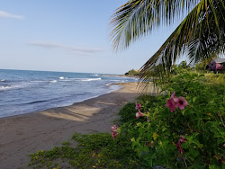 Treasure Beach II'in fotoğrafı vahşi alan