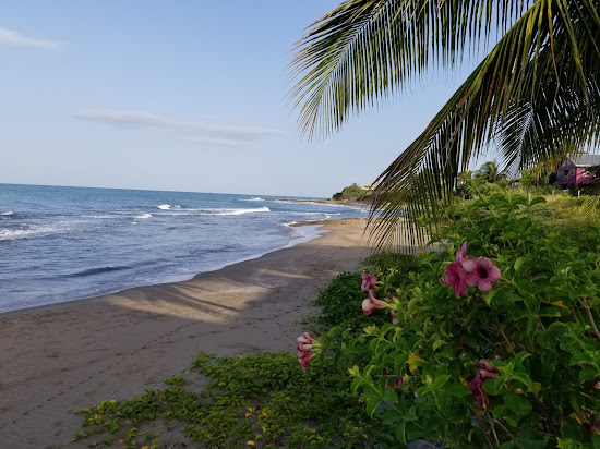 Treasure Beach II