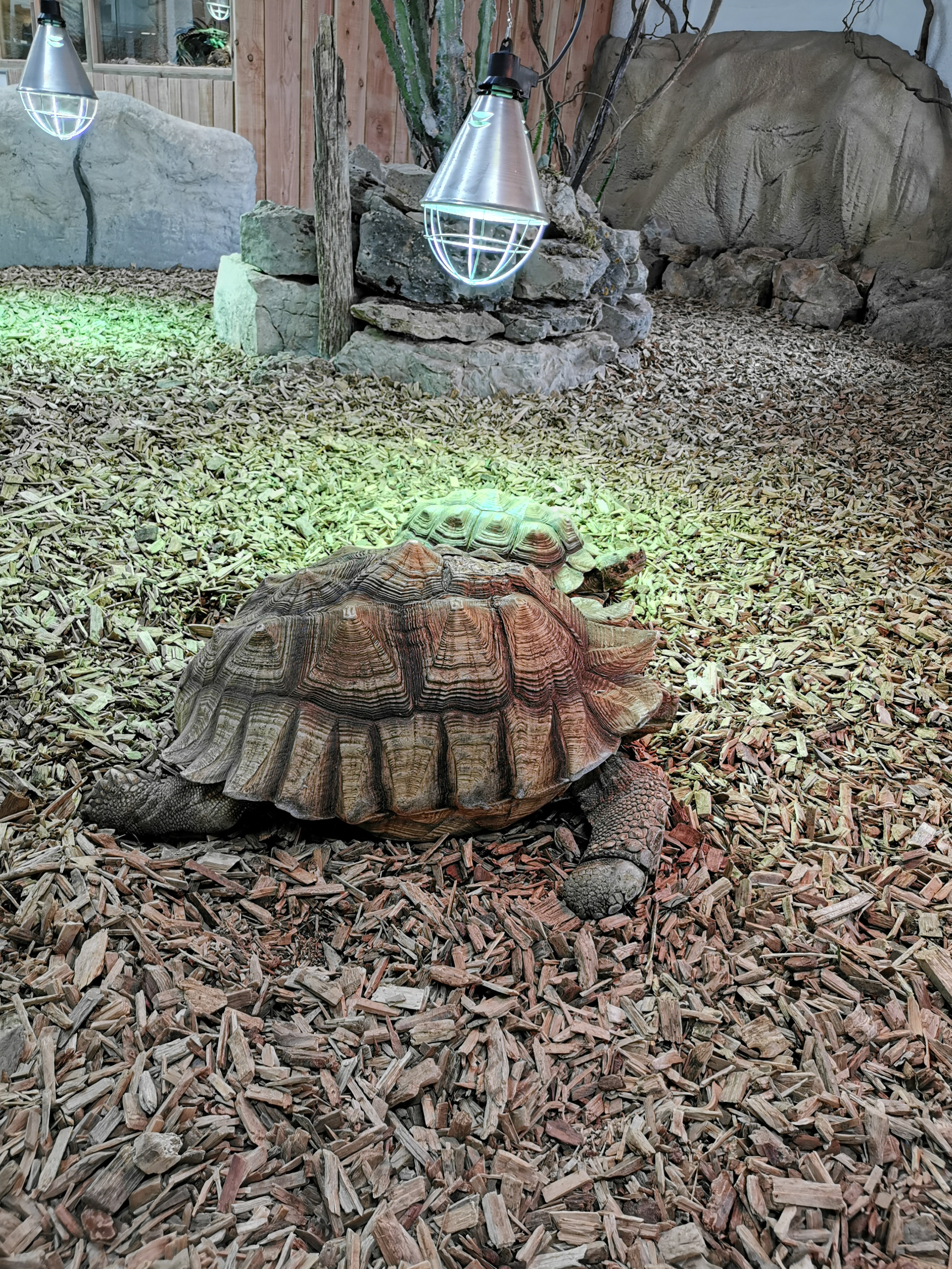 Photo n° 3 de l'avis de Laetitia.o fait le 30/08/2020 à 14:52