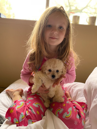 1 Love Dog Rescue image