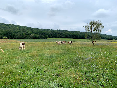 Ferme pédagogique - Les deux collines à Buffard