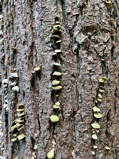 Tourist Attraction «Dover Stone Church», reviews and photos, 3128 NY-22, Dover Plains, NY 12522, USA