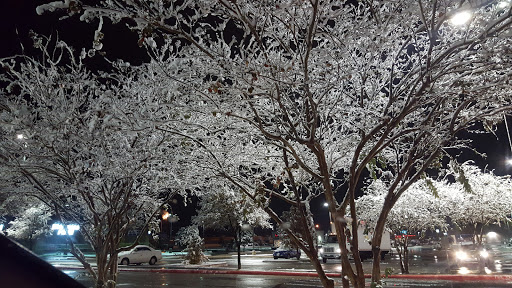 Gym «Planet Fitness», reviews and photos, 1671 1H-35 South #401, New Braunfels, TX 78130, USA