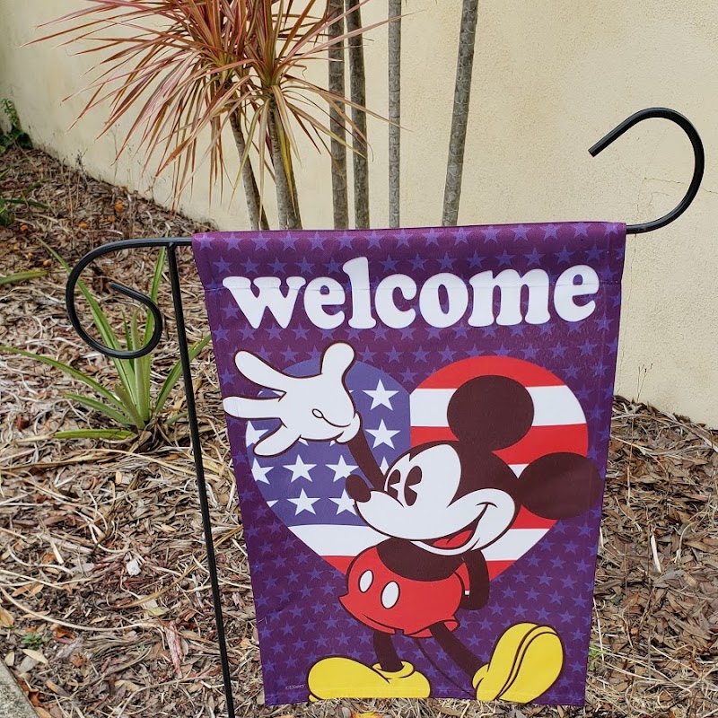 Welcome Mickey