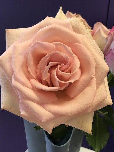 Florist «Hills Floral», reviews and photos, 1166 S Robert St, West St Paul, MN 55118, USA