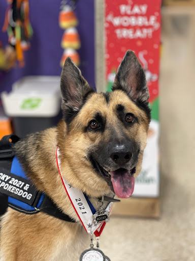 Pet Supply Store «PetSmart», reviews and photos, 6060 Long Prairie Rd, Flower Mound, TX 75028, USA