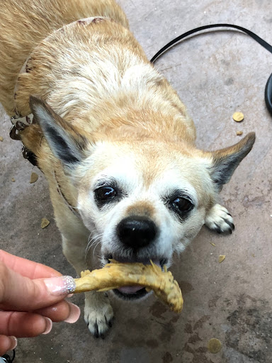 Pet Supply Store «Pet Food Express», reviews and photos, 2661 Blanding Ave F, Alameda, CA 94501, USA