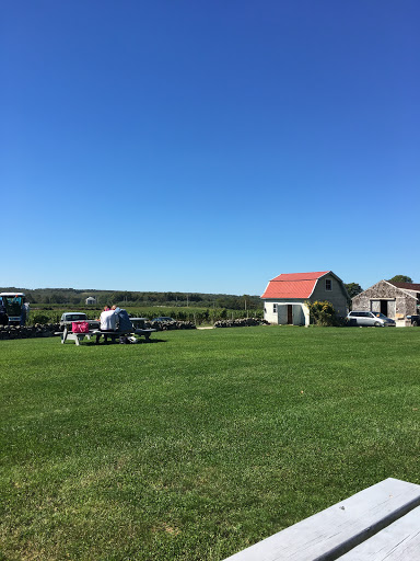 Vineyard «Westport Rivers Vineyard», reviews and photos, 417 Hixbridge Rd, Westport, MA 02790, USA