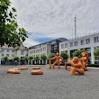 HTWG Konstanz, Studiengänge BW