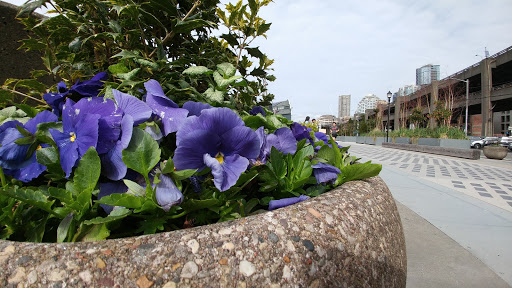 Park «Waterfront Park», reviews and photos, 1401 Alaskan Way, Seattle, WA 98101, USA