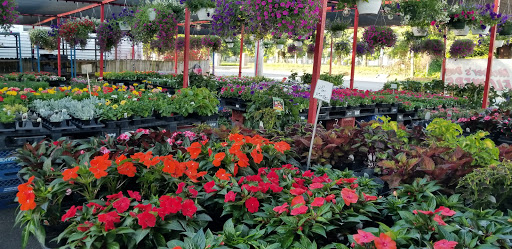 Produce Market «Parkway Produce», reviews and photos, 2601 Preston Hwy, Louisville, KY 40217, USA