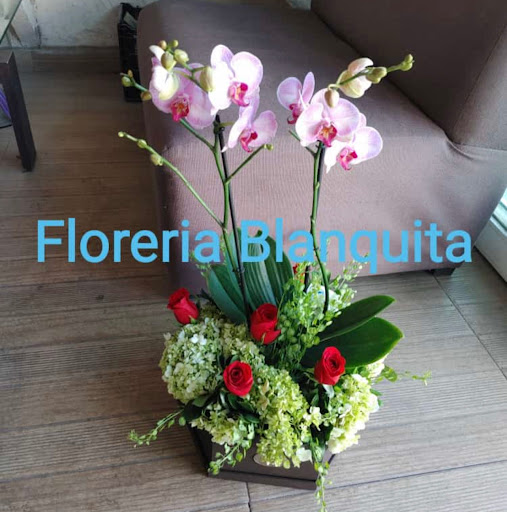 Floreria Blanquita – Aguascalientes