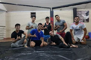NGF Escuela de MMA image