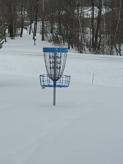 Disc golf Le Daveluy