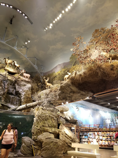 Sporting Goods Store «Bass Pro Shops», reviews and photos, 5160 Cherry Ave, San Jose, CA 95118, USA