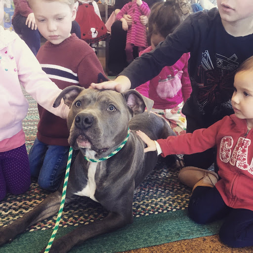 Pet Supply Store «Dogology», reviews and photos, 166 Albany Turnpike, Canton, CT 06019, USA