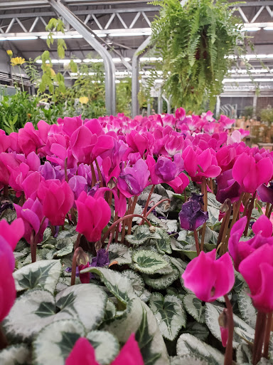 Hardware Store «Dale Hardware Inc», reviews and photos, 3700 Thornton Ave, Fremont, CA 94536, USA