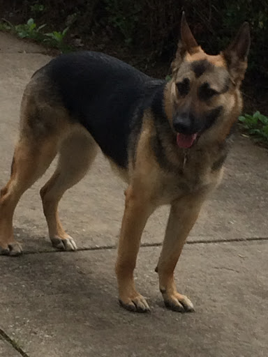 Pet Supply Store «Pet Supplies Plus», reviews and photos, 3100 Manchester Rd, Akron, OH 44319, USA