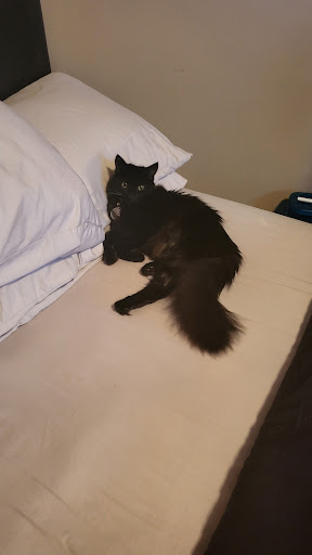 Pet Supply Store «Unleashed by Petco», reviews and photos, 600 Redondo Ave, Long Beach, CA 90814, USA