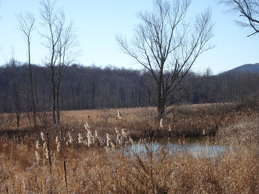 State Park «Goosepond Mountain State Park», reviews and photos, 1198 New York 17M, Chester, NY 10918, USA