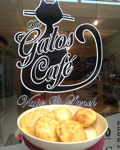 tua gatos Café