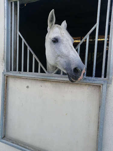 Centre Equestre de la Prévoté SCA à Nandy