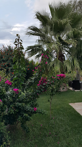 Hekimköy Yelken Ve Su Sporları Kulübü Tesisleri