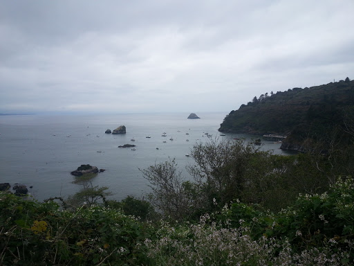 Barbecue Restaurant «The Banana Hut», reviews and photos, 621 5th St, Eureka, CA 95501, USA