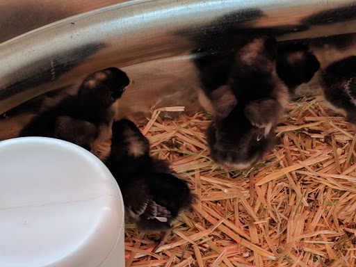 Pet Supply Store «Pet Food Plus», reviews and photos, 2819 E Hamilton Ave, Eau Claire, WI 54701, USA