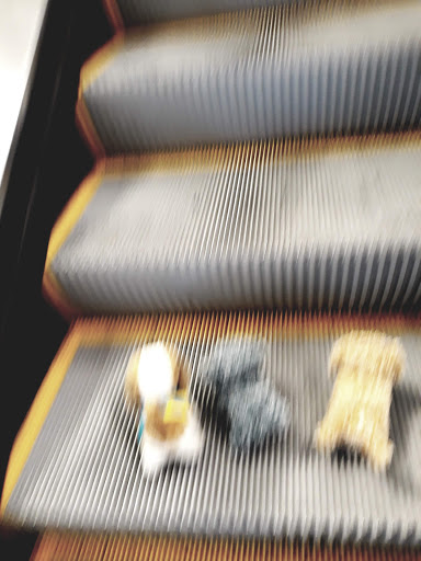 Book Store «Barnes & Noble», reviews and photos, 55 Parsonage Rd, Edison, NJ 08837, USA