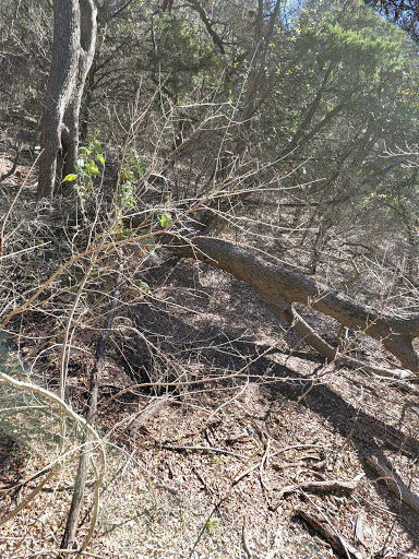 Park «Culebra Creek Park», reviews and photos, 10919 Westwood Loop, San Antonio, TX 78254, USA