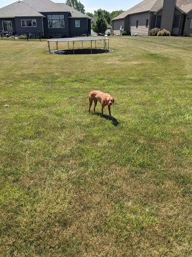 Dog Poop Pick Up Fort Wayne